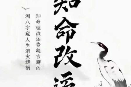 命理探秘：正官与正印，人生运势的双重钥匙