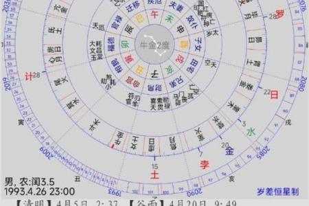 孩子的命格：不同数量孩子的命理解析与人生启示