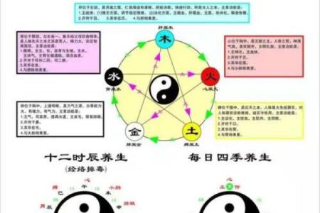 女金猪命八字解析：揭示命理中的缺失与提升之道