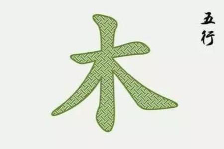 老虎之命：五行中的木之象征与灵性探究