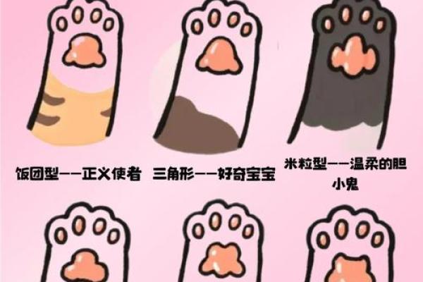 九命猫的命格解析：你家猫咪的神秘命运与性格特征