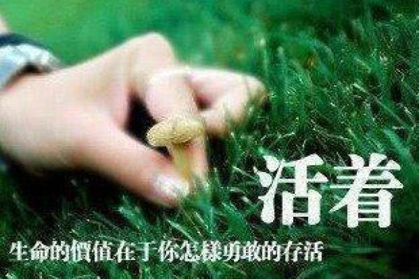 女命中劫财的深层解析：她代表着什么样的人生轨迹？