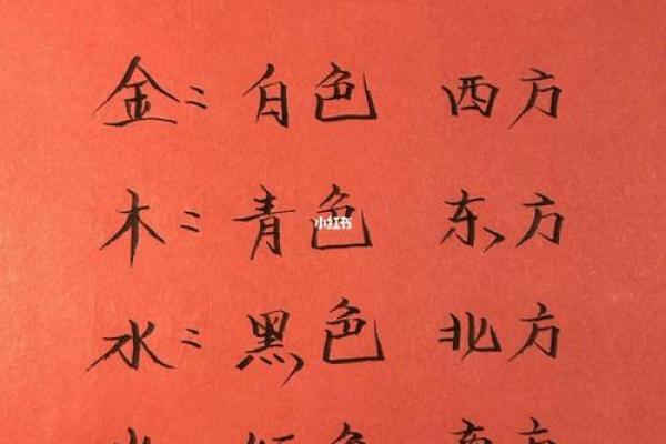 解密五行命理：木命与水命的奥秘分析