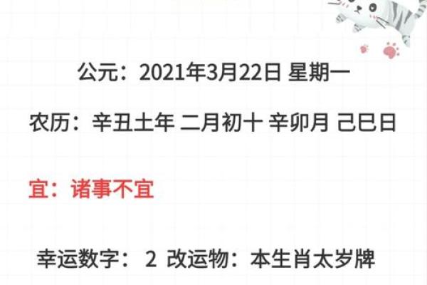 探秘农历二月初十出生的命理秘密，揭示他们的性格与运势！