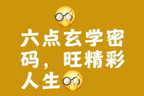 命贵掌权：探讨人生法则与智慧的平衡之道