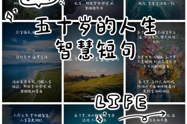 命贵掌权：探讨人生法则与智慧的平衡之道