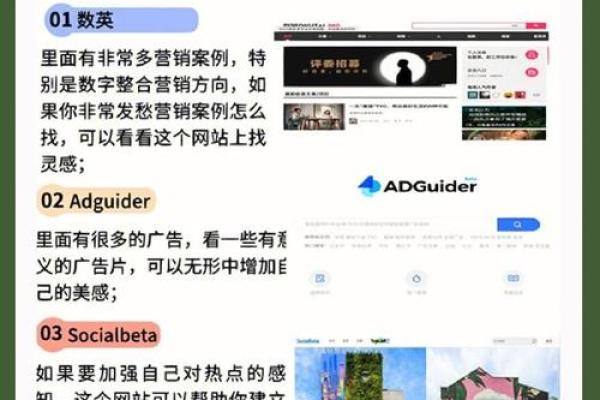 深入探讨：女命推业的奥秘与应用