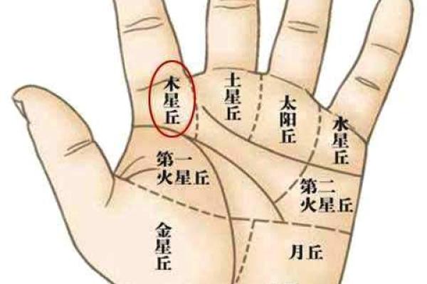 命局偏财格解析：如何通过偏财运提升生活品质与财富智慧