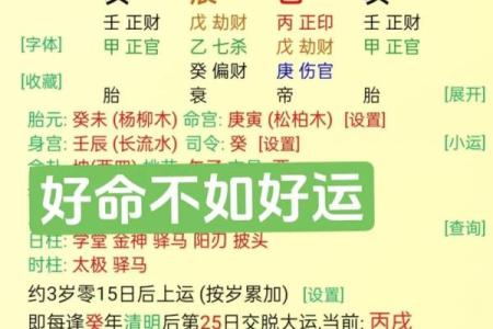 男火命与最佳搭配命理解析:火与土的完美结合