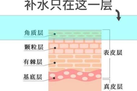 命里缺水，补水的最佳选择与方法解析