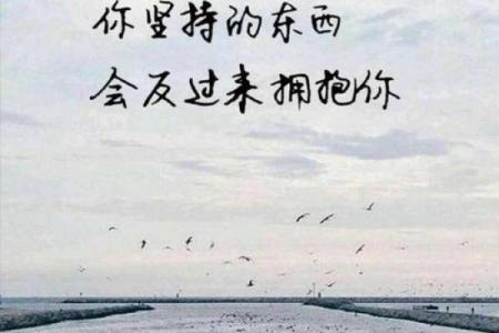 拼搏与坚持:你为什么拼过命?探寻生命的意义与价值