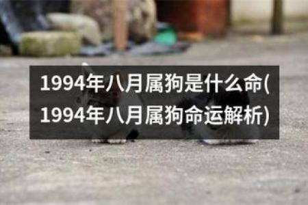 探秘八月：八月出生的人的性格与命运解析