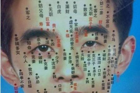 男人左胸有痣的命运解析，揭示隐藏的秘密与人生旅程！