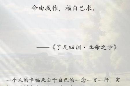命里有一儿半女：探寻命运中的家庭智慧与幸福真谛