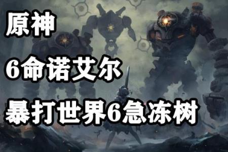 六命诺艾尔的缺点剖析:神秘装备的另一面