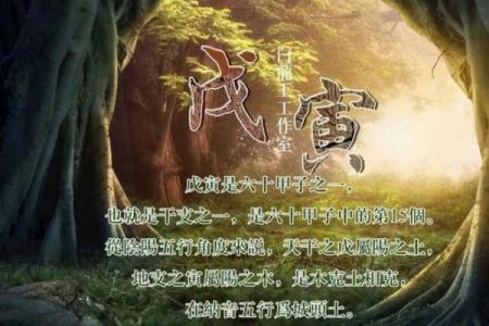 六五年出生的学生命运解析:他们的特质与挑战
