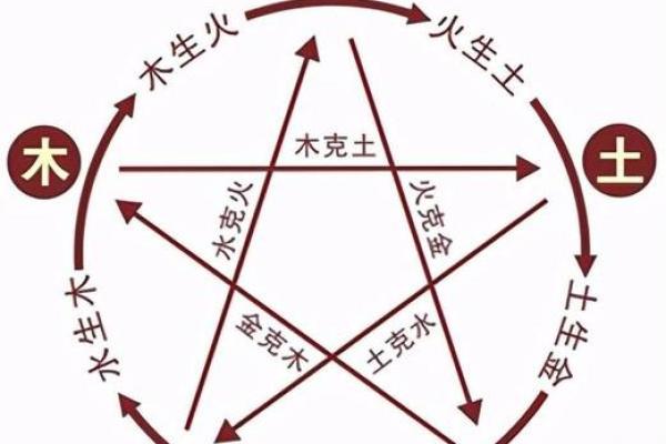 命理木元素过多，选择什么颜色最能调和？