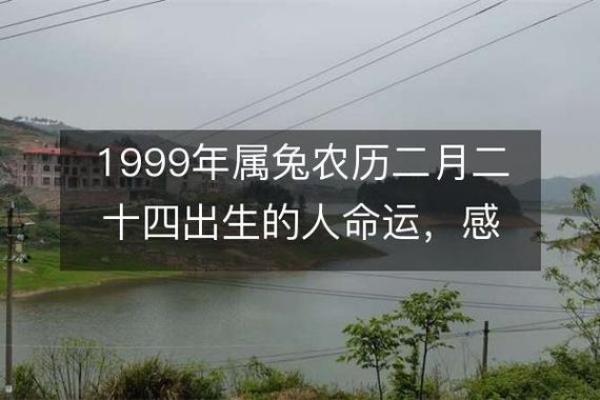 农历二月份兔生肖命运解析：它们的性格与运势如何？