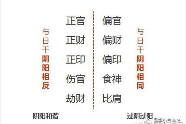 食神合印：命局中的智慧与合谐之道