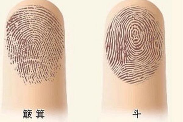 女人手上有九个斗的命理解析：破解她们的命运之谜