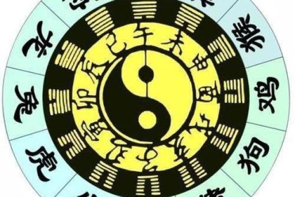 如何根据命理属相与木的结合，提升你的生活品质与运势？