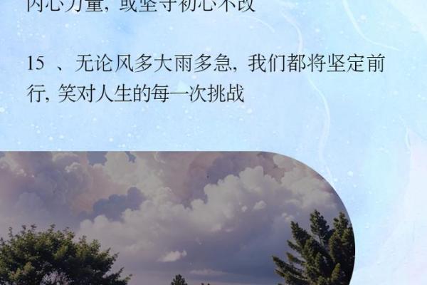 命里有丁卯，命运的独特魅力与人生旅途的启示