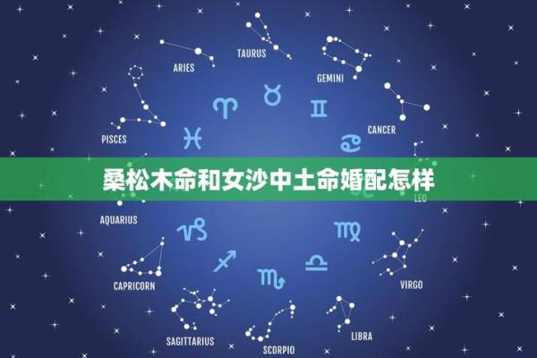 女木命与最佳搭配：揭开命理的奥秘，探索命运的交汇点