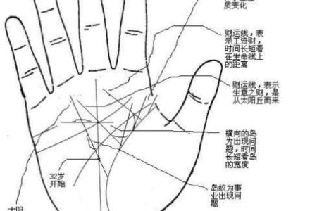 女人细长手指的命运解读:揭示隐藏的性格与运势密码
