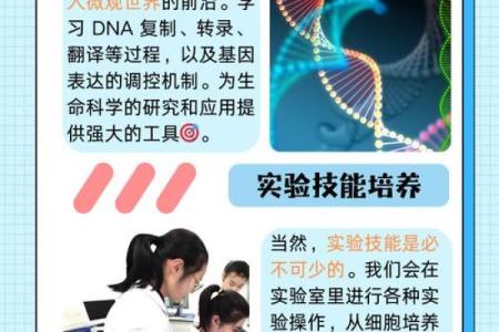 命理学中的数字奥秘：探索数字的神秘含义与人生影响
