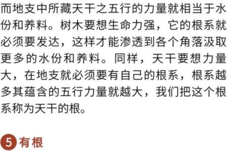 探索命理学：如何通过命理了解自己的命运特点和生活方向