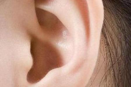 牛年巳时出生的人命运解析：如何发掘生命的潜力与方向