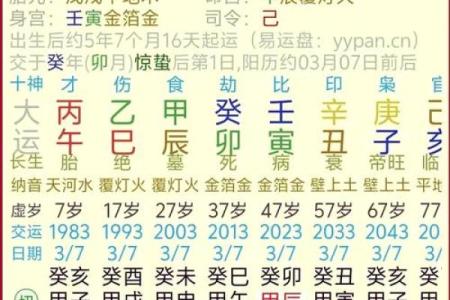 如何通过阅读书籍掌握八字命格的奥秘与技巧