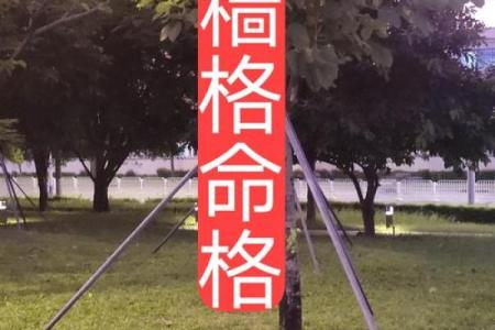 戊土命：天地之气的平衡与人生的智慧