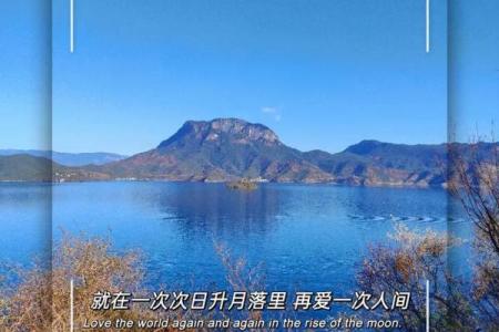 拼尽全力后,生活的真谛与感悟