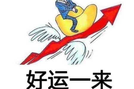 食神合印：命局中的智慧与合谐之道