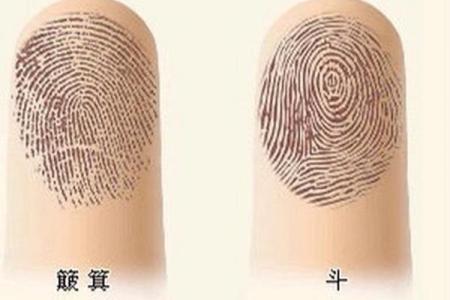 女人手上有九个斗的命理解析：破解她们的命运之谜