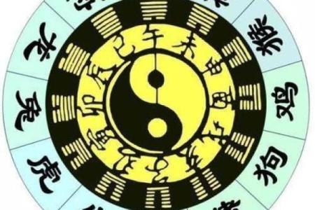 如何根据命理属相与木的结合，提升你的生活品质与运势？