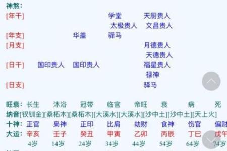 命理老师的命格解析：探索命运与性格的奥秘