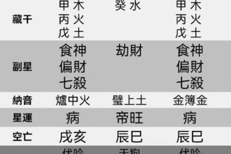 深入解析命局食神忌偏印的内涵与影响
