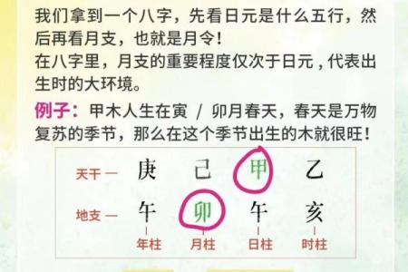 男身女命：探索两性命理与人生的奇妙交汇