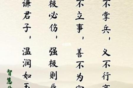 女生男命的真相与生活启示，从命理探讨智慧与内涵