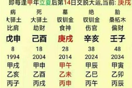 揭秘木命人与财富:哪些命理相配助力发财?
