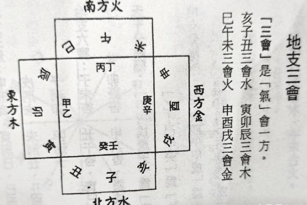 女命八字中的“三个寅木”解析与命运启示