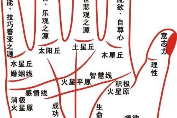 从左手手相看命运：揭示你的生命密码与未来机遇