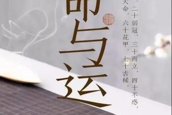 女人葵花命的深层含义与命运解读