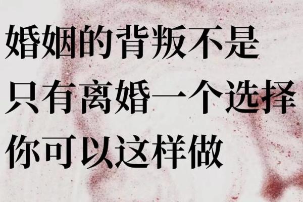 揭秘壬寅年女性命运中的食才：智慧与情感的平衡之道