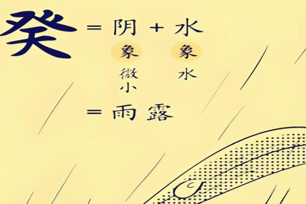 水命命名之道：如何为水命者起一个合适的名字？