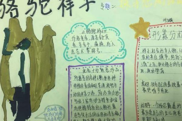 溺水死亡背后的命运探讨：悲剧与教训并存的故事