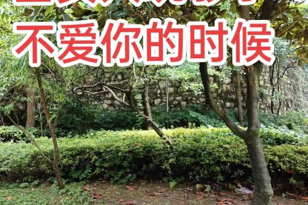 命好福厚之人的征兆：七大特征让你一眼识破