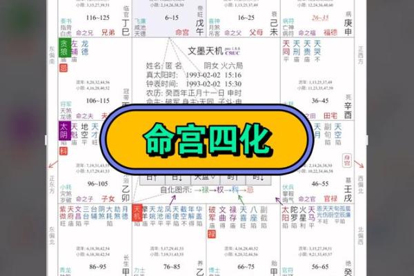 命理四官：解析命理中的四个重要官星与人生影响